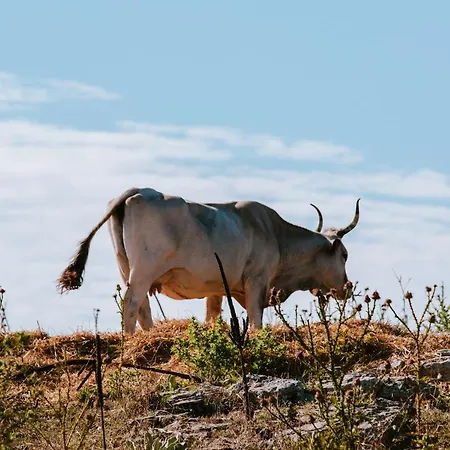 Donna Teresa Отель типа 