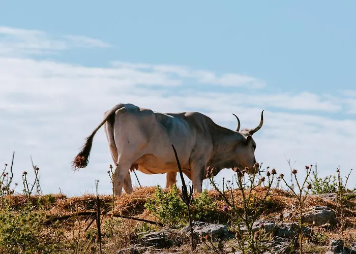 Donna Teresa Frühstückspension Mottola